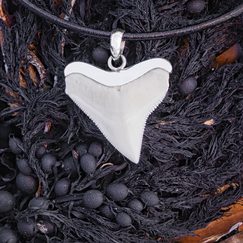 Realistic Shark Tooth Pendant Necklace For Men - Resin, Ivory Color, Adjustable