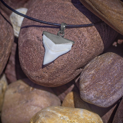 great white shark tooth pendant