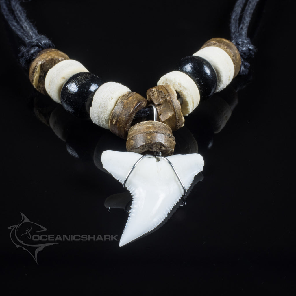 Blue shark tooth deals necklace