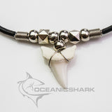 real mako shark tooth necklace australia