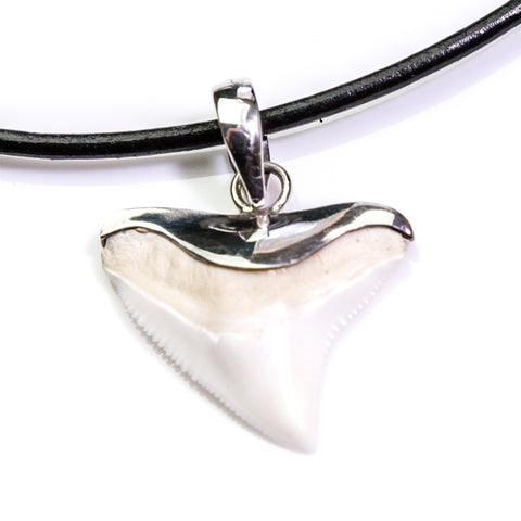 oceanicshark shark teeth necklace silver on black leather cord