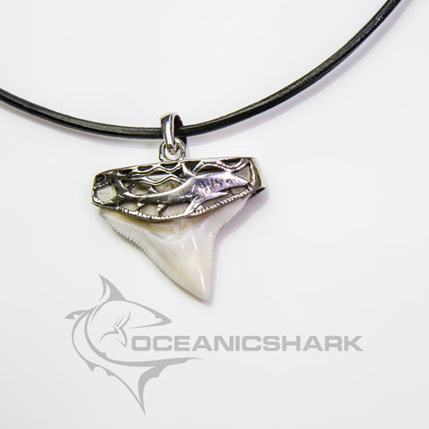 Bull Shark tooth necklace oceanicshark