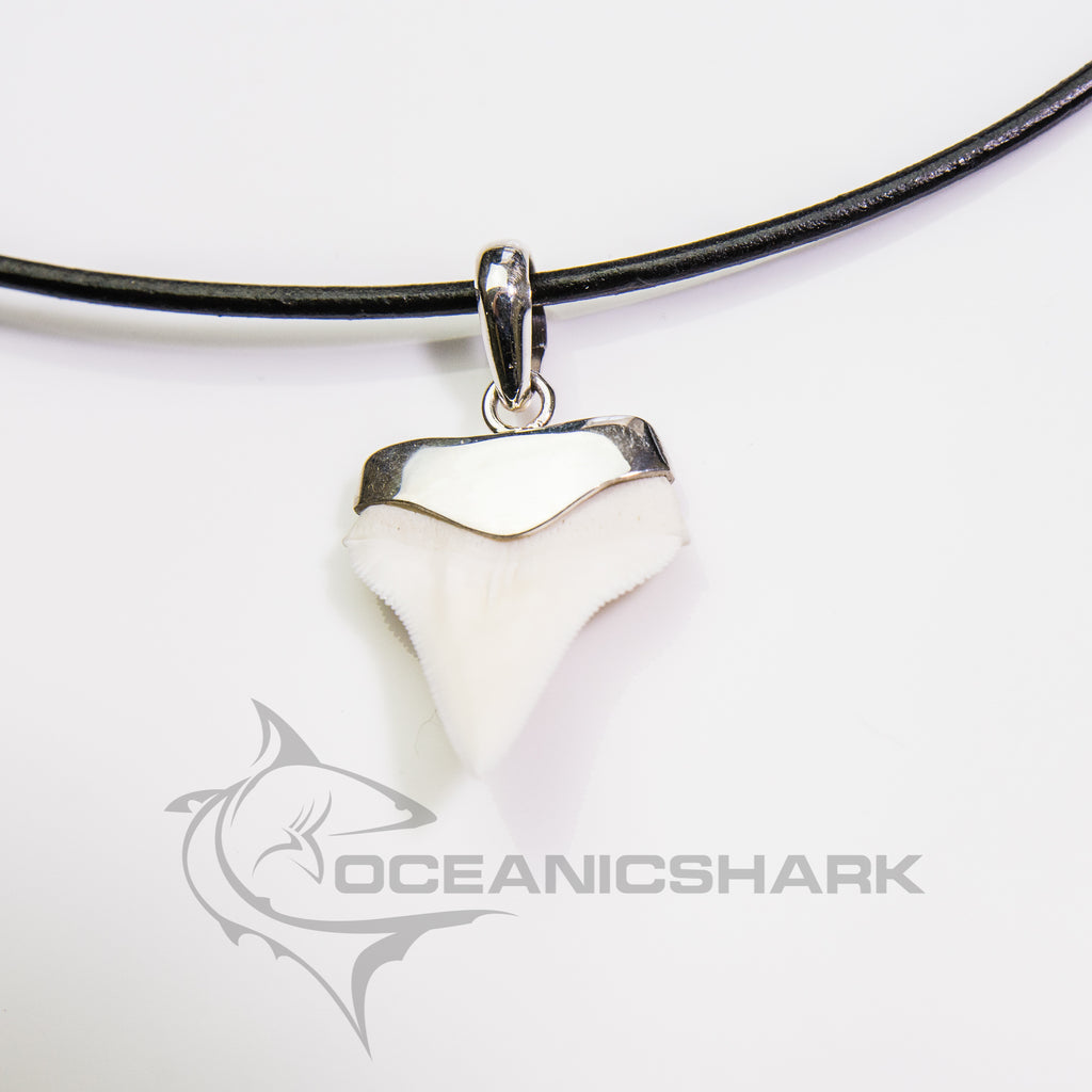 Great white hot sale shark jewelry