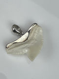 Tiger shark tooth silver infused gift pic61