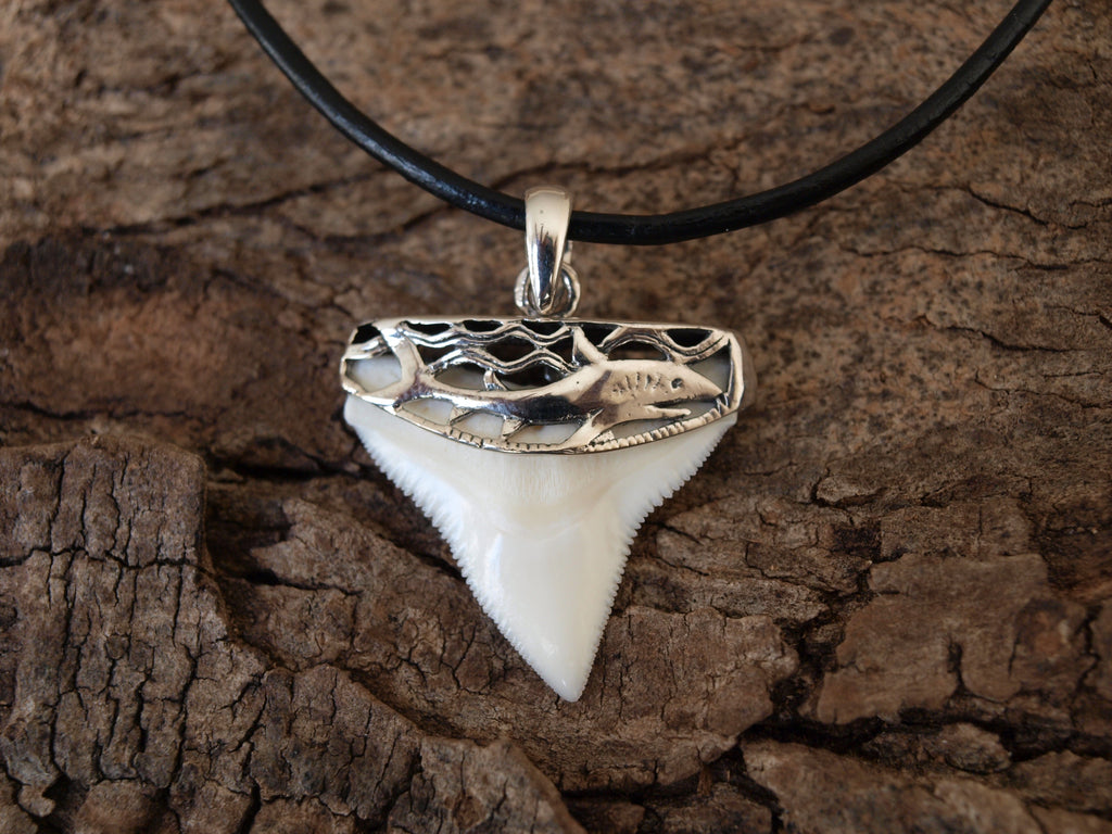 Shark Tooth Jewellery Care Guide: Keeping Teeth and Silver Looking New