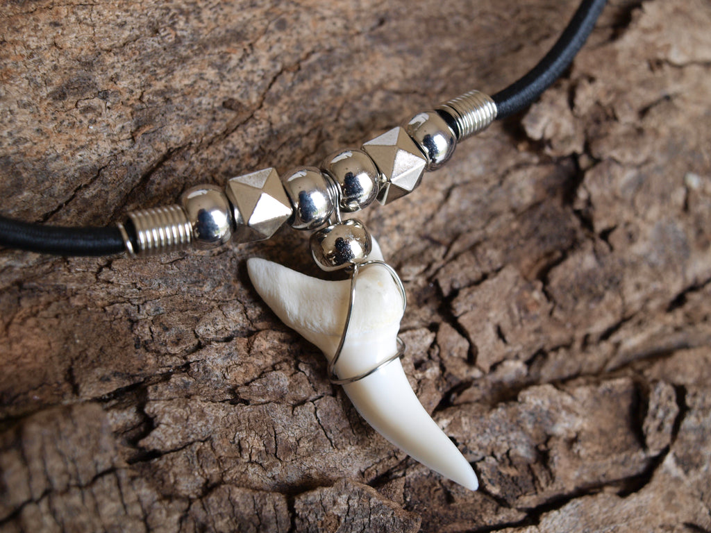 The Symbolism of the Shark Tooth Necklace