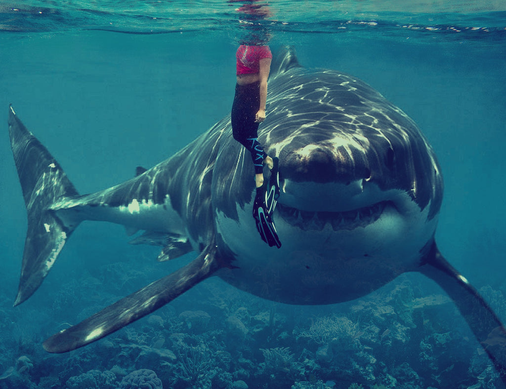 Great White Shark – Fascinating Predator of the Ocean
