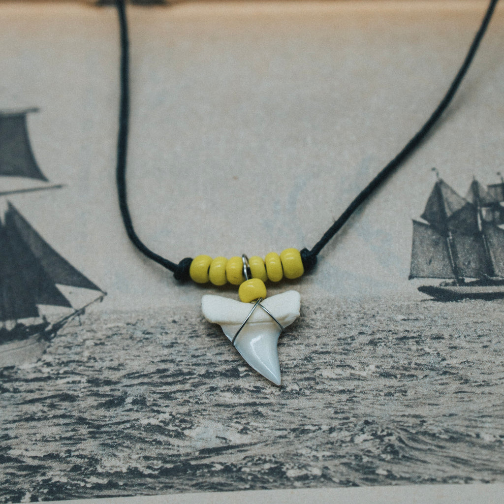 Real Shark Tooth Necklace vs. Fake: How to Tell the Difference