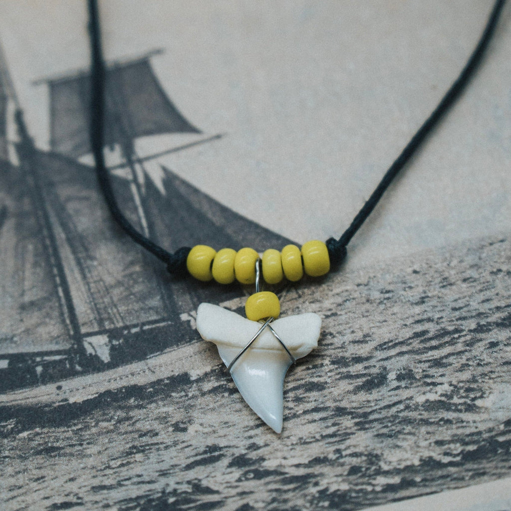 Shark Tooth Talisman: A Unique Christmas Gift That Lasts Forever