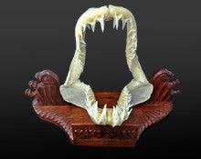 Real shark jaws for sale