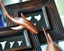 shark souvenirs australia