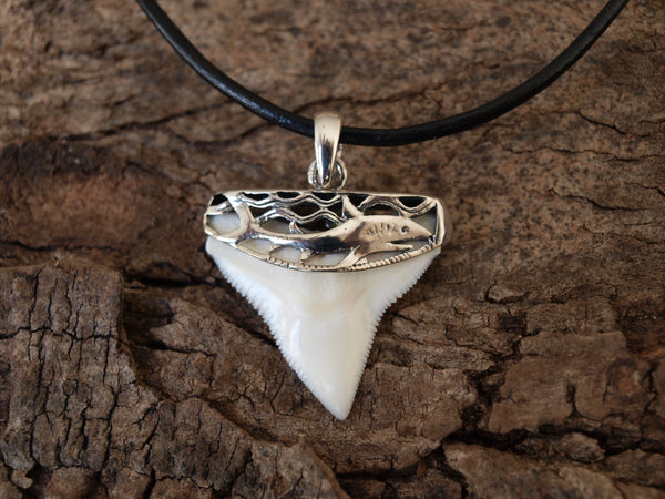 Shark tooth necklace for sale Oceanicshark