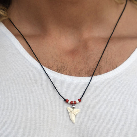white shark tooth necklace
