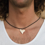 bull shark tooth necklace