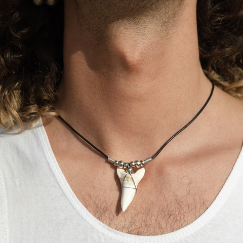 Mako shark tooth necklace