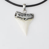 Great White Tooth Necklace GWS14