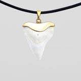 buy real shark tooth gold