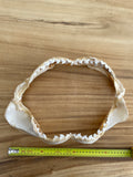 Real Tiger Shark Jaws T171