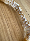 Real Tiger Shark Jaws T171