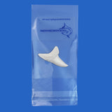 Mako shark tooth