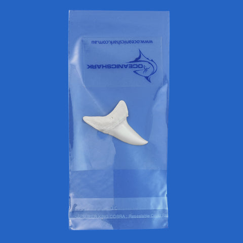 Mako shark tooth