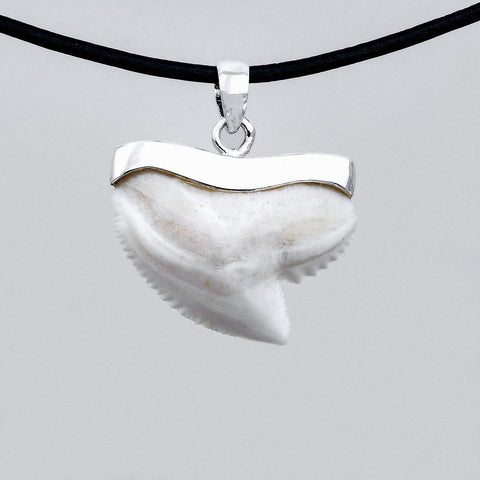 silver tiger shark tooth necklace