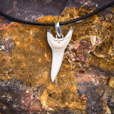 shark tooth silver necklace