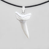 buy large shark tooth necklace