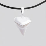 buy shark tooth necklace silver