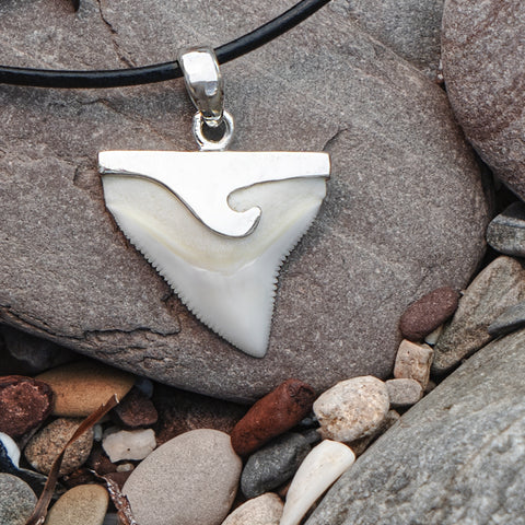 buy shark tooth necklace