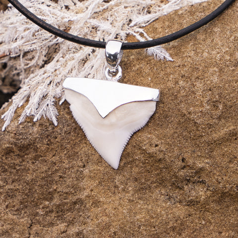 shark tooth pendant in silver