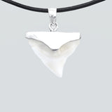 buy real shark tooth pendant sterling silver