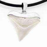 silver shark tooth necklace