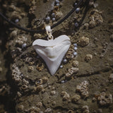 Shark Tooth Necklace s10