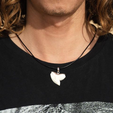 buy shark tooth necklace online