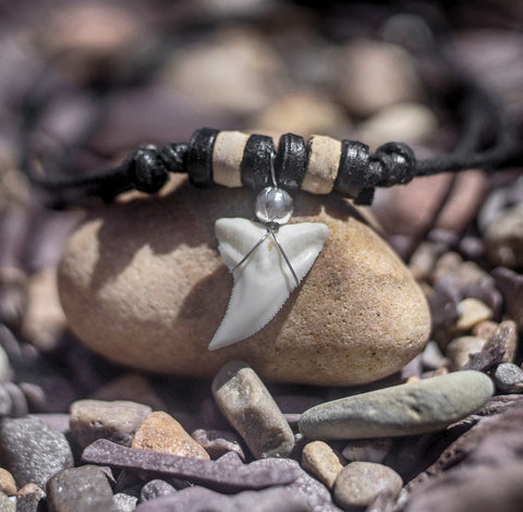 buy real shark tooth necklace sydney
