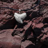 tiger shark tooth pendant