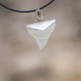 buy great white shark tooth necklace