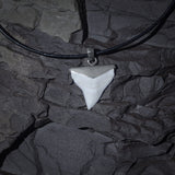 shark tooth pendant silver