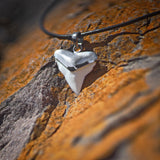 shark tooth necklace buy online