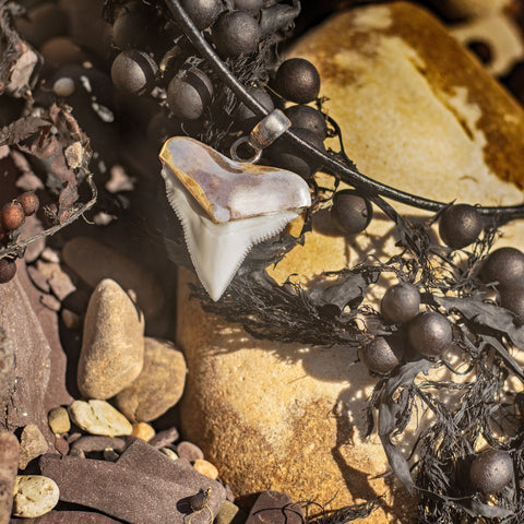 great white shark tooth silver