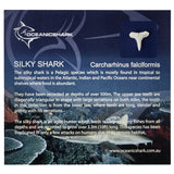 Silky shark tooth educational card