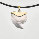 tiger shark tooth in gold