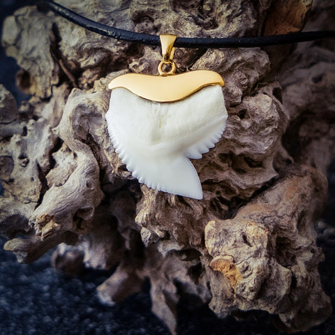 Black & White Bead Shark Tooth Necklace - California Seashell Company Retail