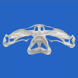 genuine hammerhead skull for sale