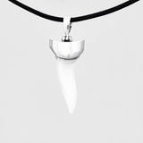 Authentic Mako shark tooth necklace with polished silver cap