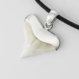 bull shark tooth necklace