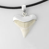 buy shark tooth necklace