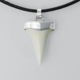 buy great white shark tooth neckace