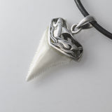 buy real great white shark tooth necklace